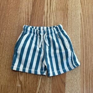 Zara Stripe Shorts
